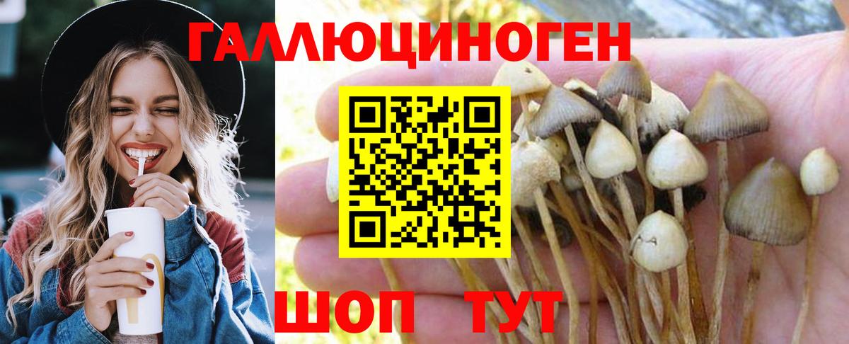 Псилоцибиновые грибы прущие грибы Тельмана