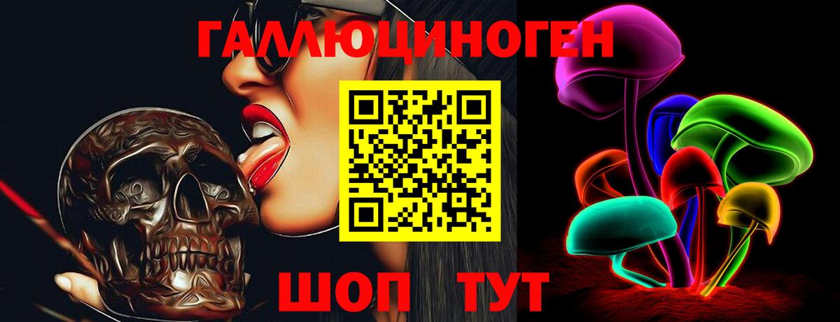 Тельмана  Галлюциногенные грибы MAGIC MUSHROOMS  Вход с VPN 